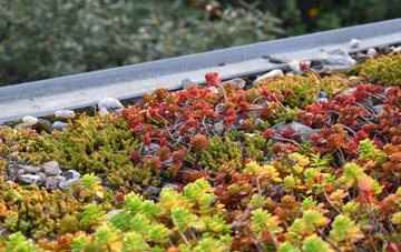 the cost of Logie green roof installation
