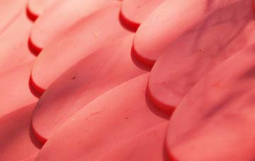 Logie plastic roof costs