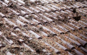 Logie roof cleaning companies