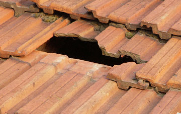 roof repair Logie