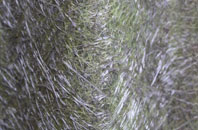 Logie fibreglass roof work