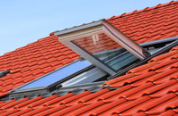 Logie roof window